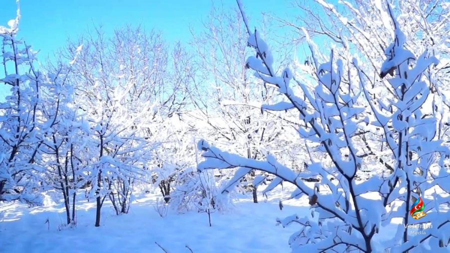 Milli Hidrometeorologiya Xidməti bu tarixdə Azərbaycana qar yağacağını AÇIQLADI