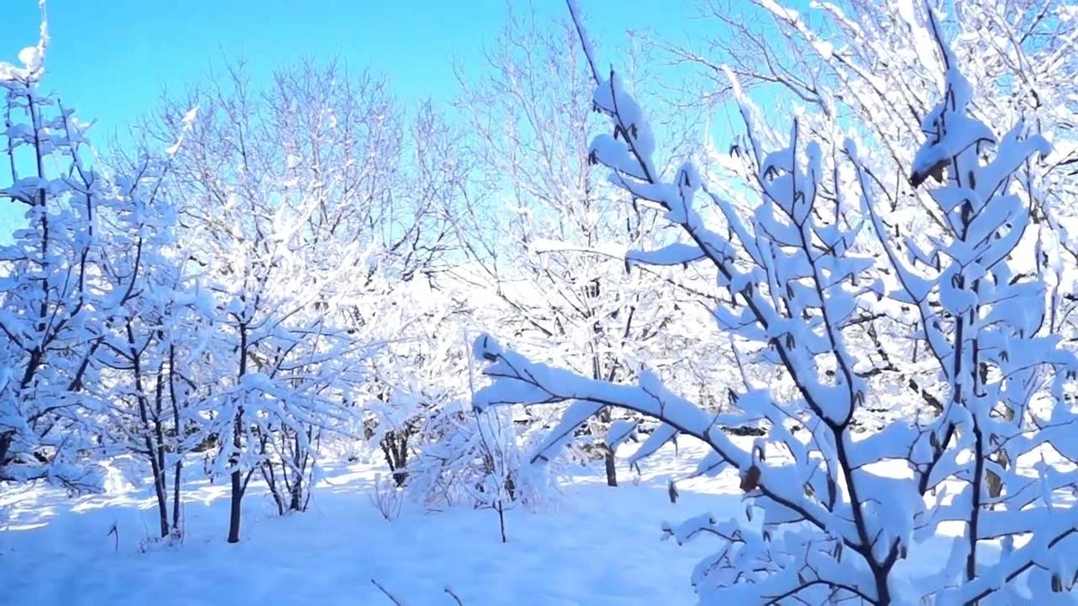 Milli Hidrometeorologiya Xidməti bu tarixdə Azərbaycana qar yağacağını AÇIQLADI