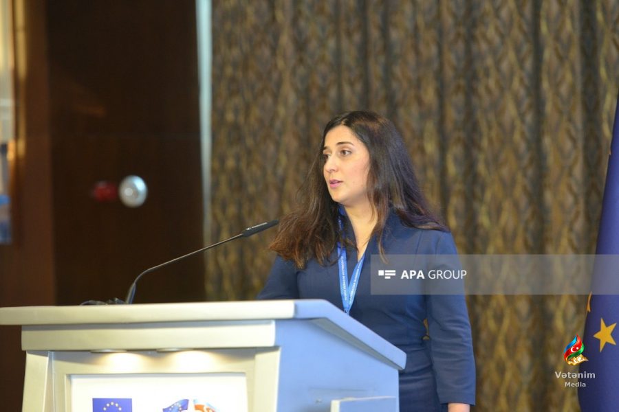 Qarabağ və Naxçıvana investisiya yatıran Aİ şirkətlərinin payı 19%-ə çatıb