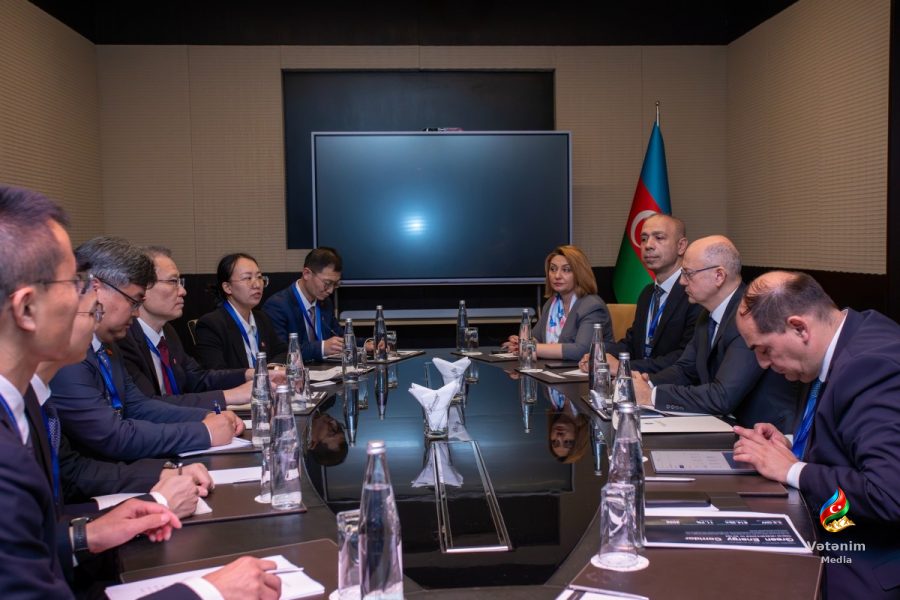 Çin şirkəti Azərbaycanda günəş və dəniz külək enerjisi layihələrini irəlilətmək istəyir