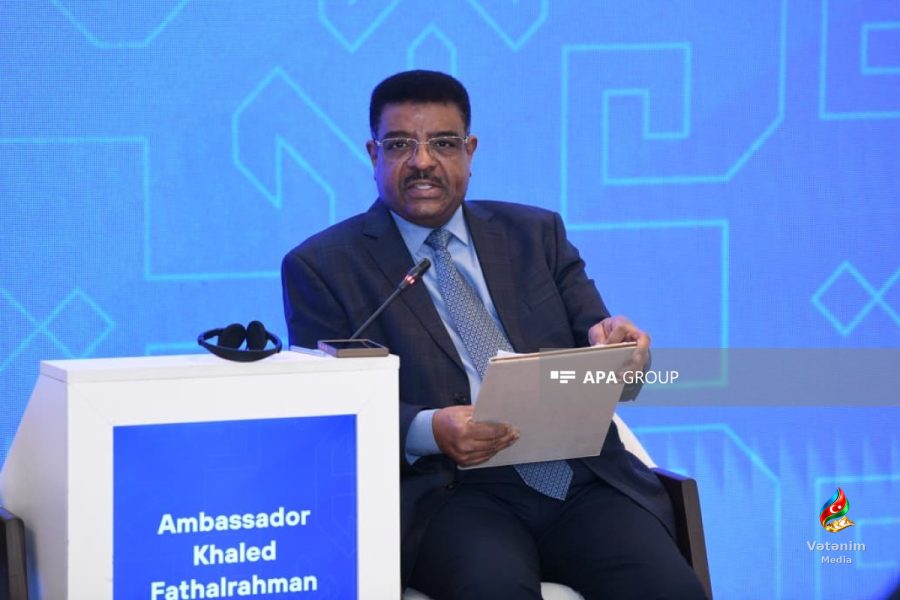 ISECO direktoru: Bakı Prosesi 20 ildə dialoq platformasına çevrilib