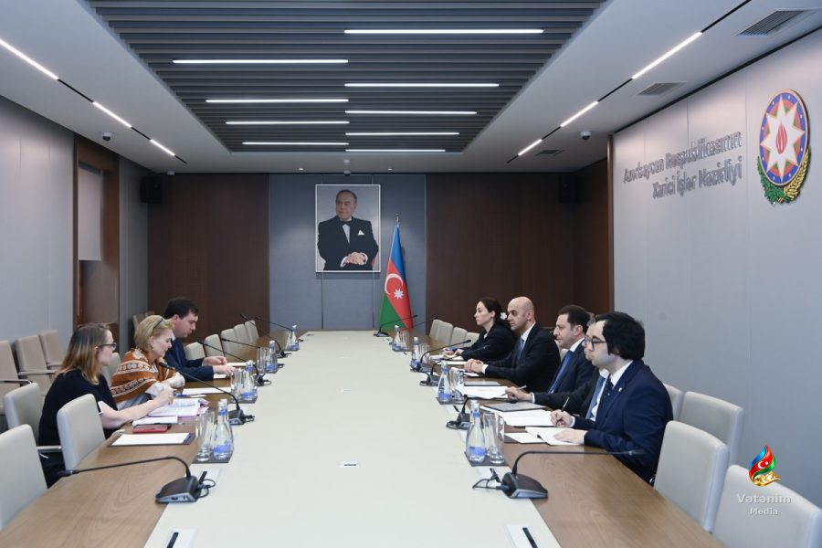 Elnur Məmmədov UNESCO nümayəndəsi ilə əməkdaşlıq məsələlərini müzakirə edib