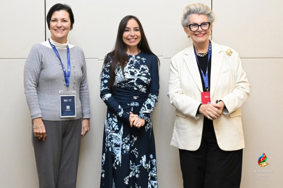 Leyla Əliyeva UNESCO rəsmisi ilə əməkdaşlığın genişləndirilməsini müzakirə edib