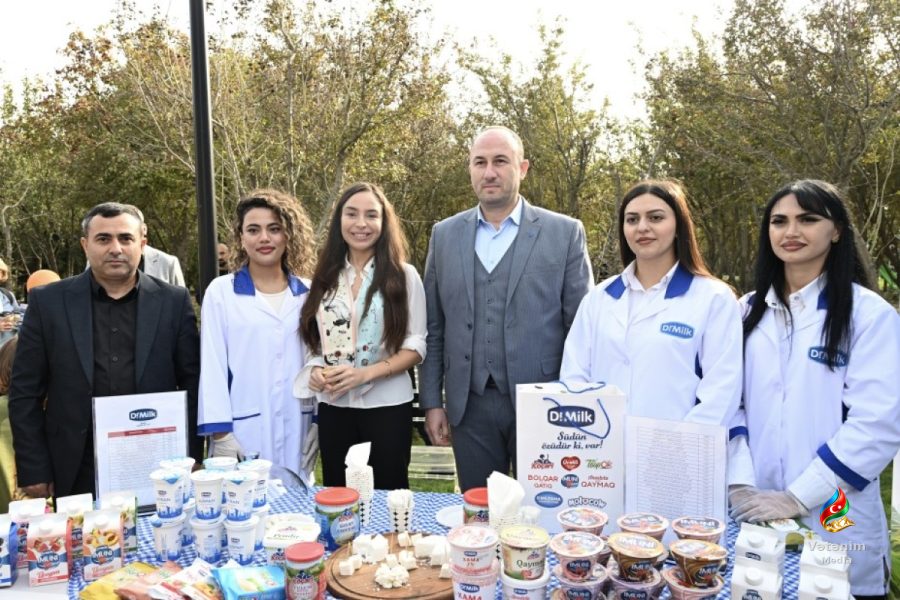ADA Məktəbində xeyriyyə festivalında üç heykəlin açılışı olub