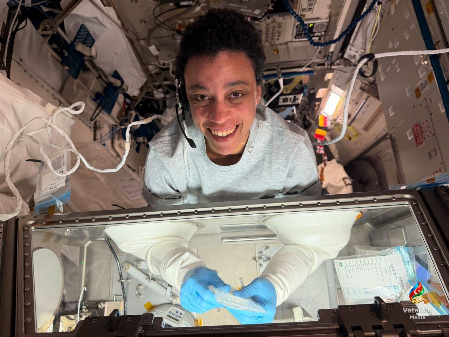 NASA mikroqravitasiyada qığırdaq toxumasının 3D çapını araşdırır
