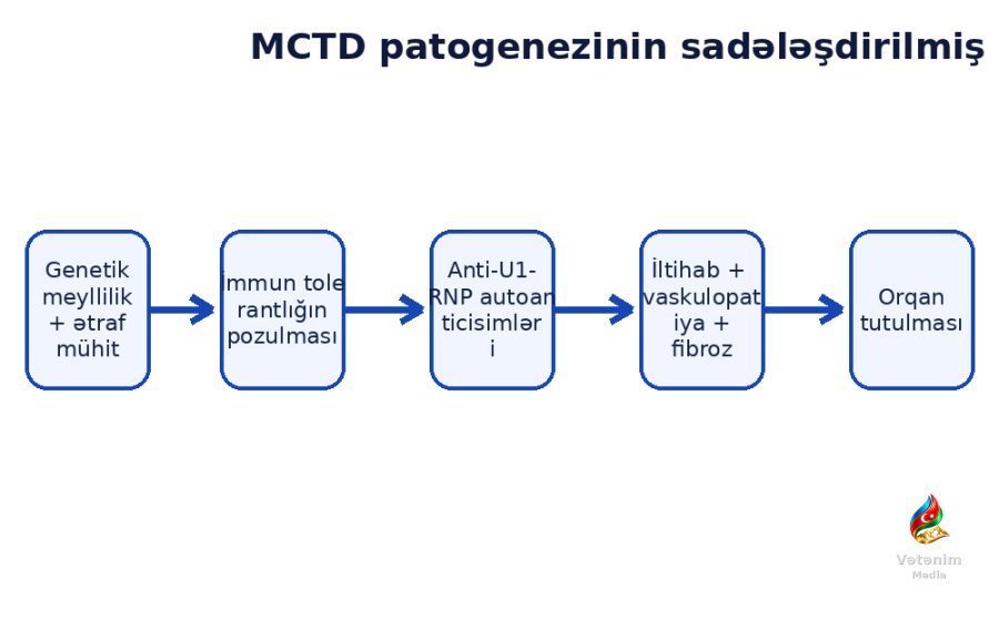 Patogenez