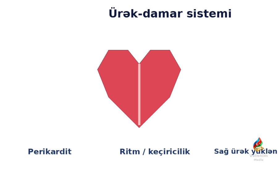 Ürək-damar sistemi — 10–30%