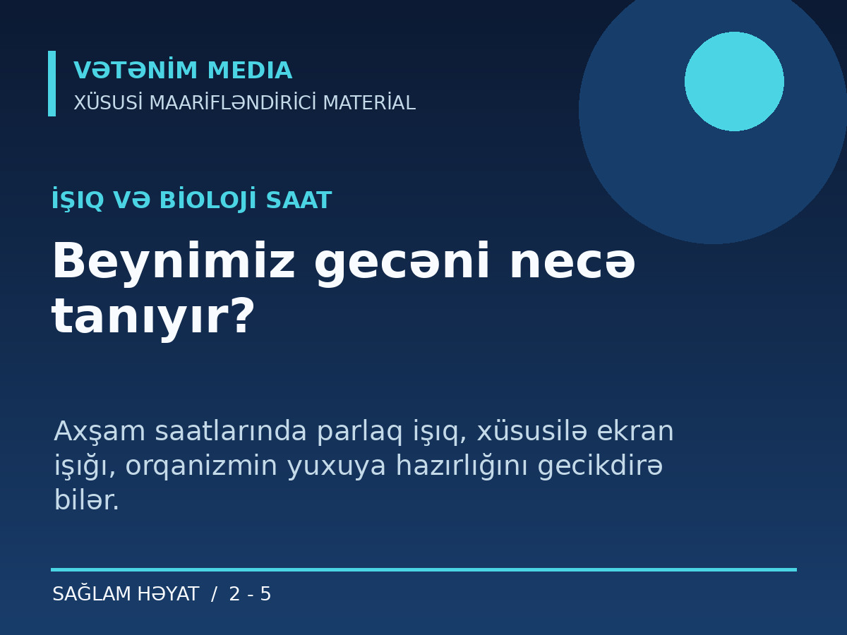 Beynimiz gecəni necə tanıyır?